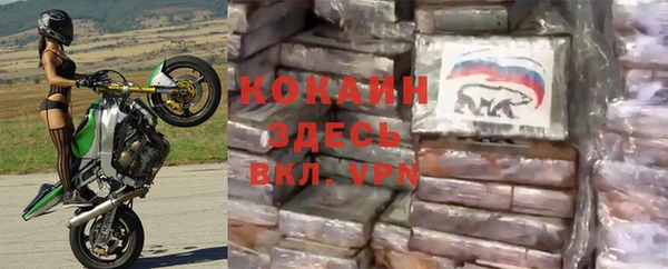 гашик Аркадак