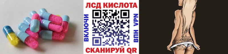 ссылка на мегу как зайти  Валдай  Лсд 25 экстази ecstasy 