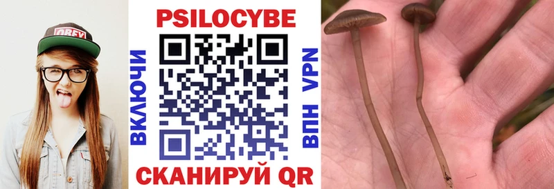 Галлюциногенные грибы MAGIC MUSHROOMS  Валдай 