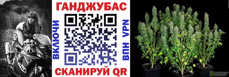Каннабис план даркнет сайт Валдай